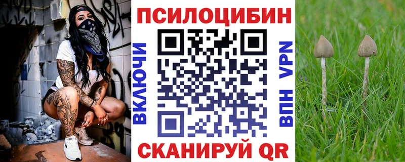 Галлюциногенные грибы ЛСД  где продают   Вяземский 