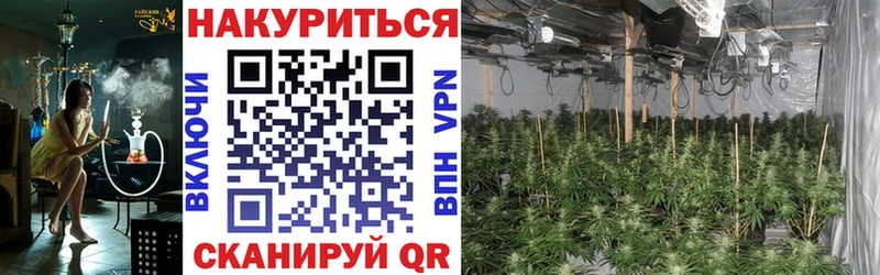 Каннабис VHQ Вяземский